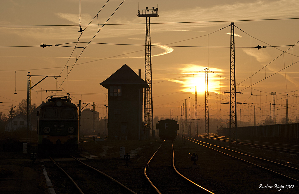 Byk popołudniową porą...