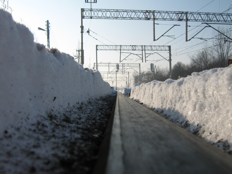 Zimowa perspektywa mrówki