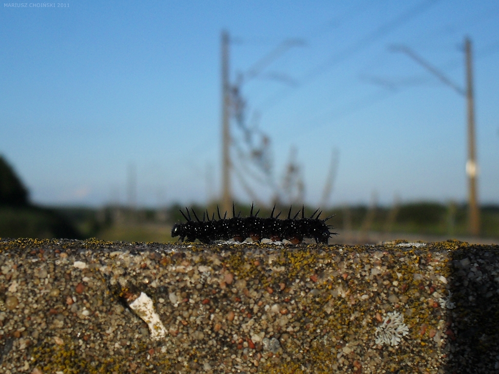 Jestem jeszcze brzydka...