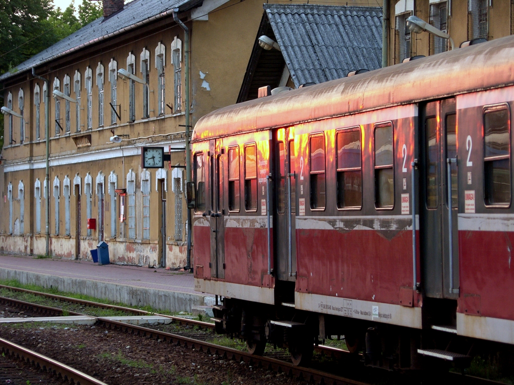 Rozgrzany upałem...