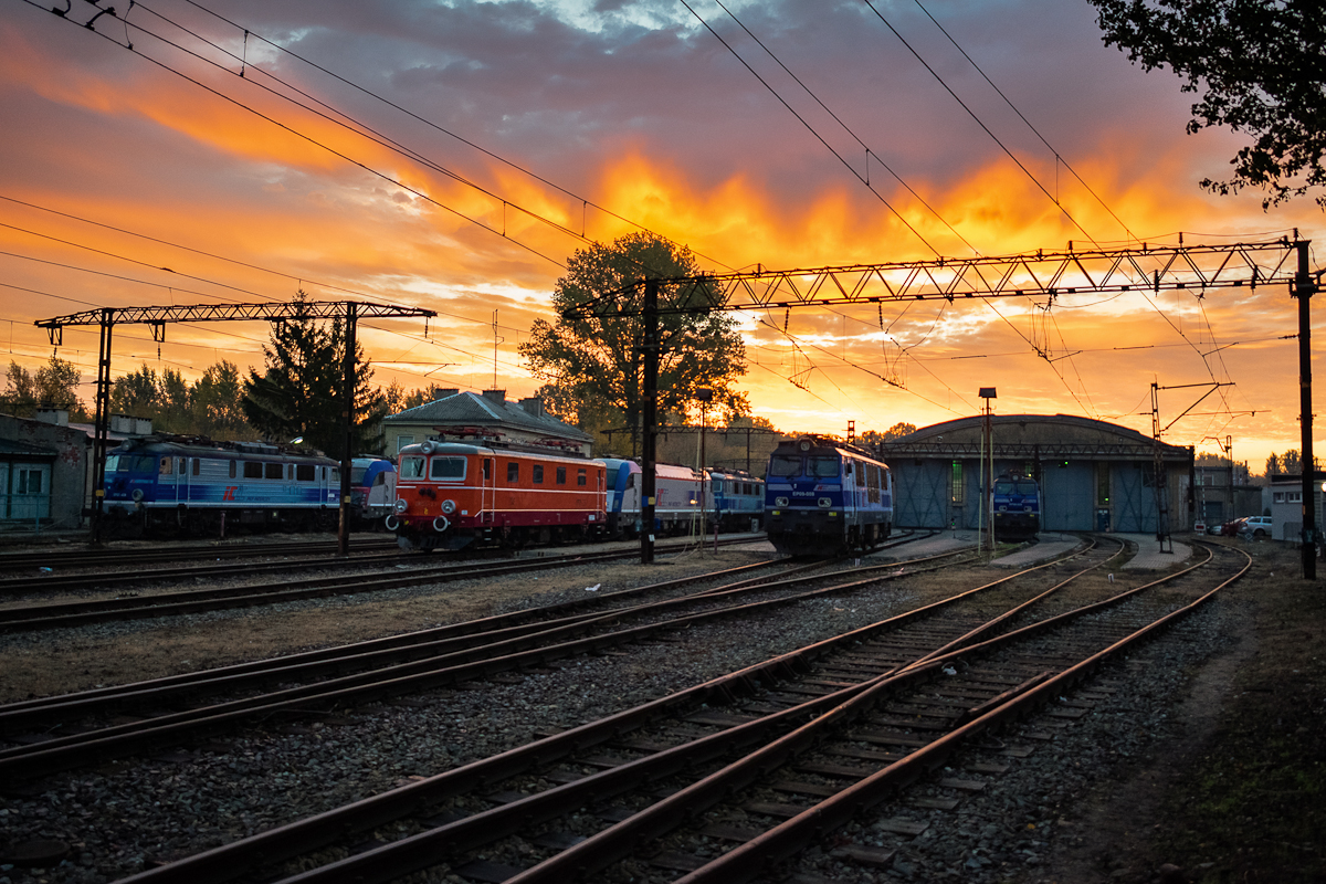 Olszynka przed wschodem