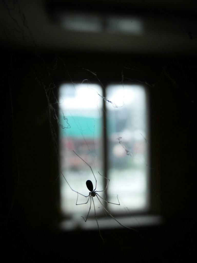 Ciekawe jaki będzie ten następny rok?...