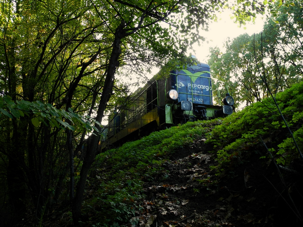 Z cyklu: Przygoda z SM42-452, część 2: Z każdej strony obserwacja Stony :)...