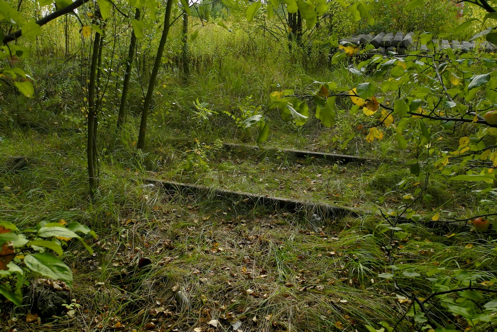 W łódzkim buszu...