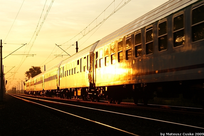 Starosta do Poznania