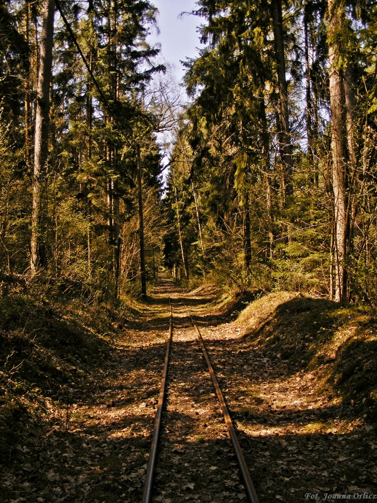 Tymczasem na Suwalszczyźnie...