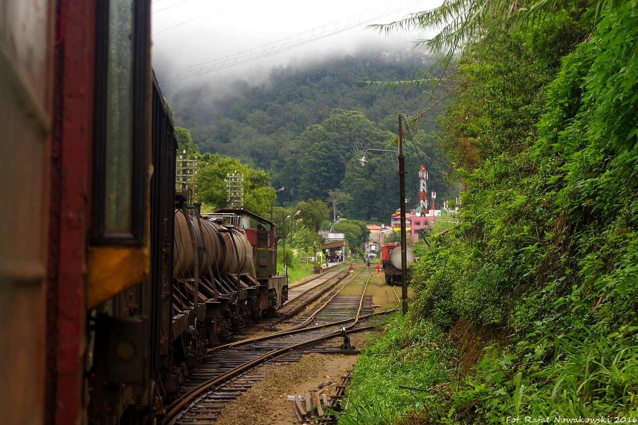 Z okna lankijskiego tow-os'a