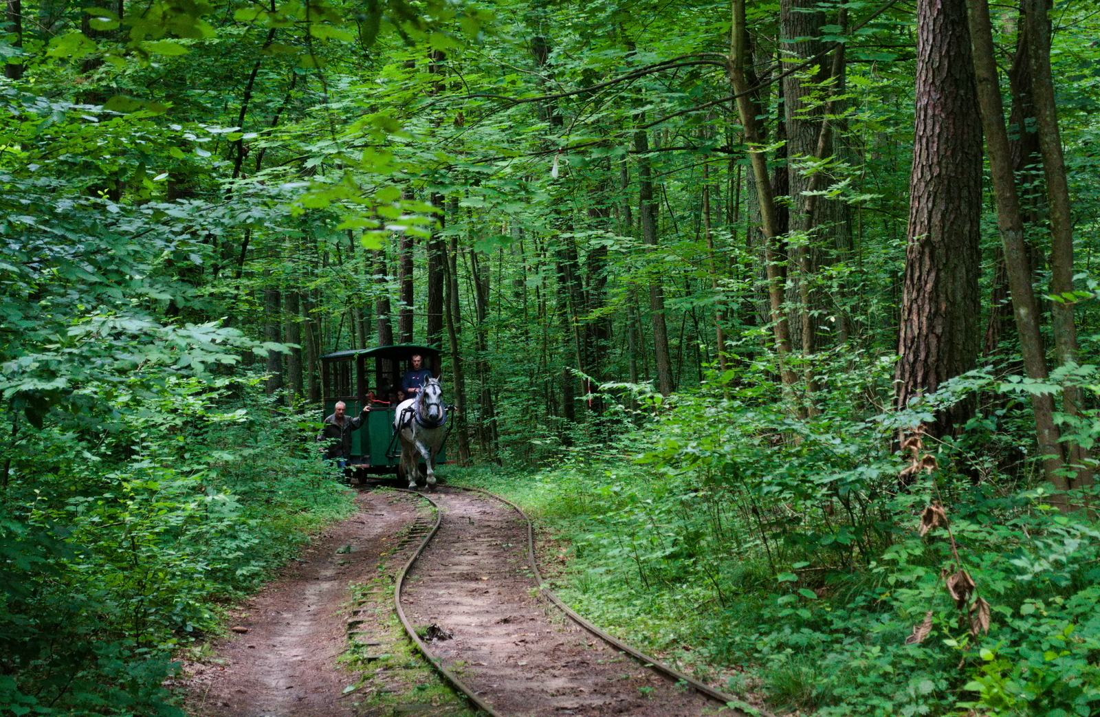 Tramwaj konny w Mrozach