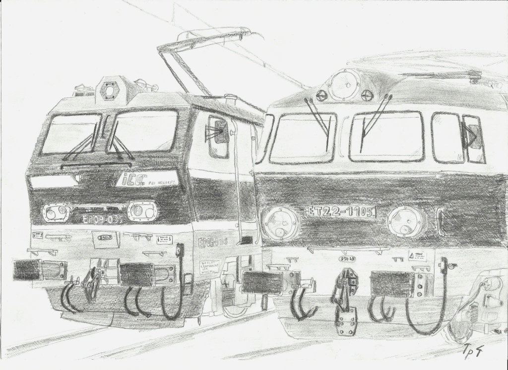 Szczekocińskie loki