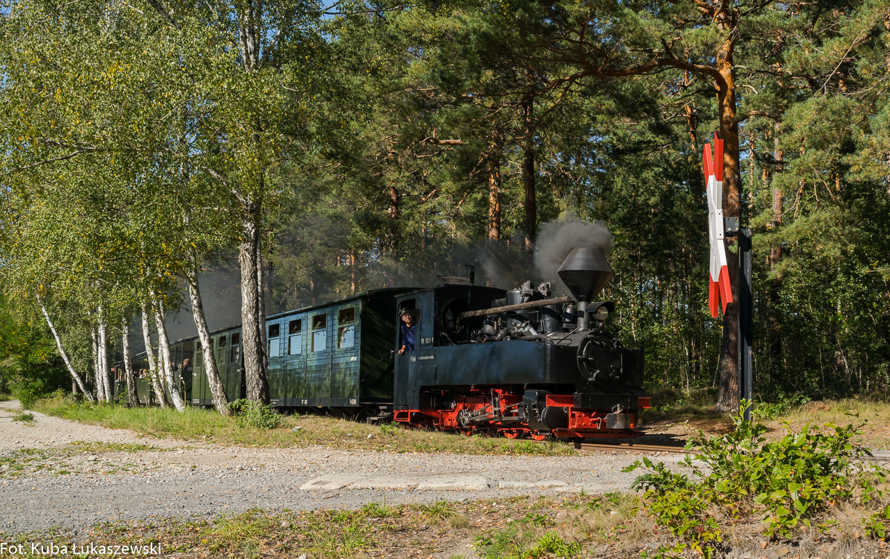 Brigadelok pod lasem