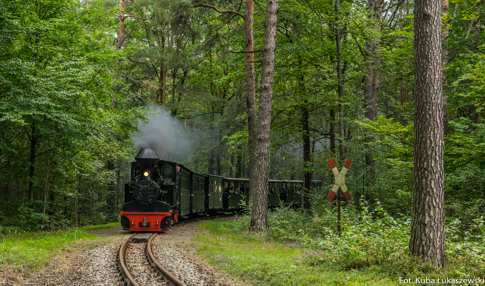 Diana na leśnym łuczku