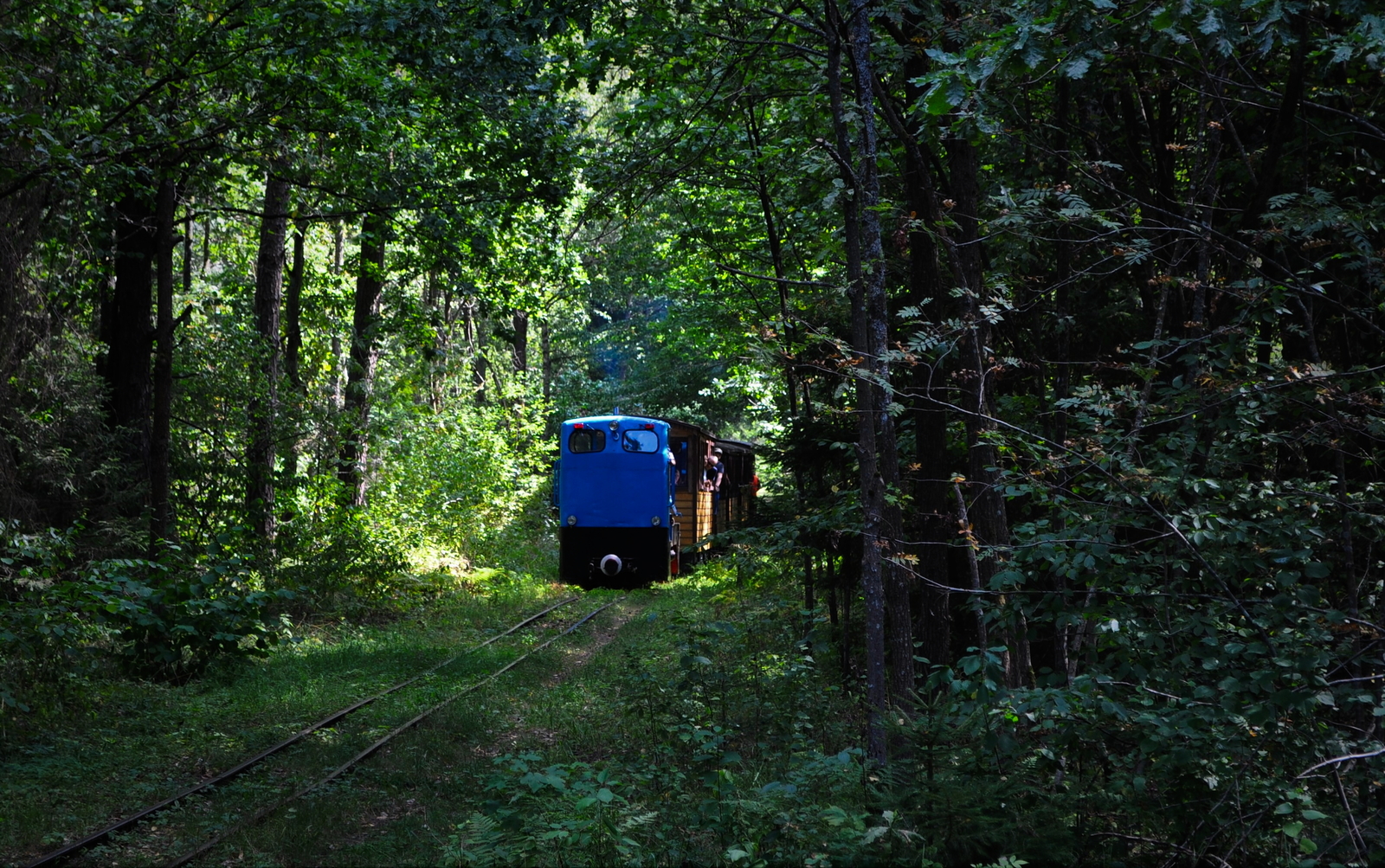 Puszczańska wąskotorówka