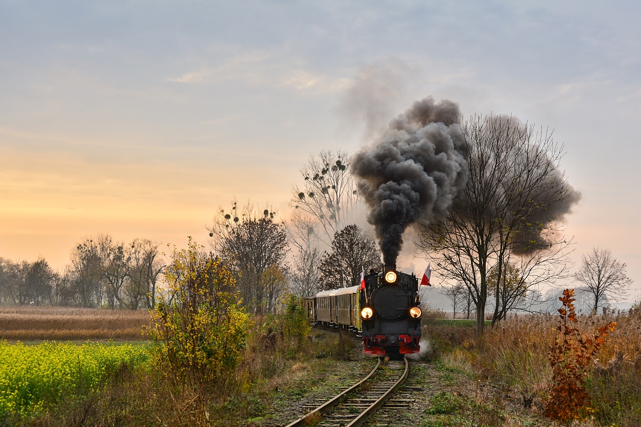 Święto Niepodległości