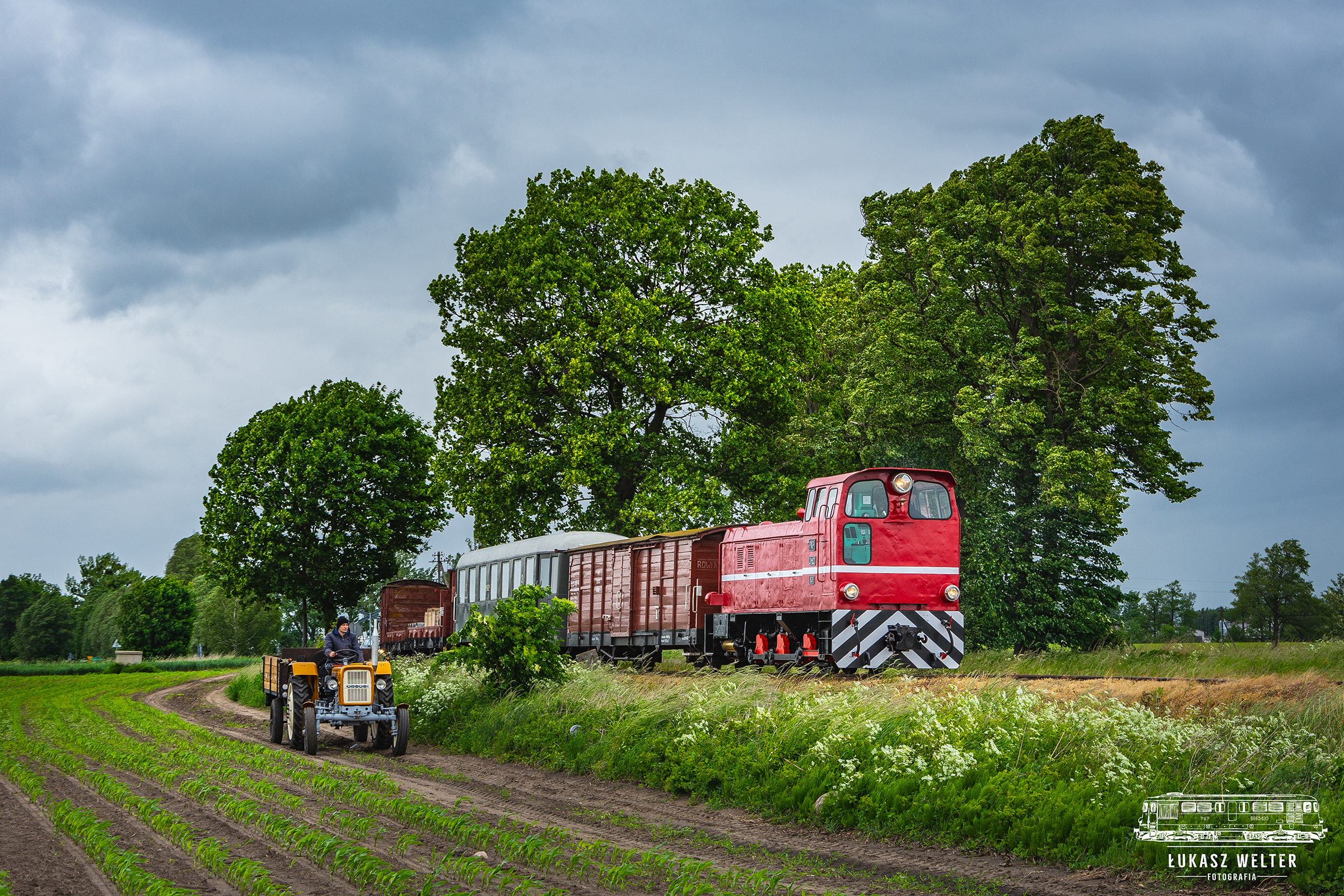 Popołudnie z Donaldem vol.3