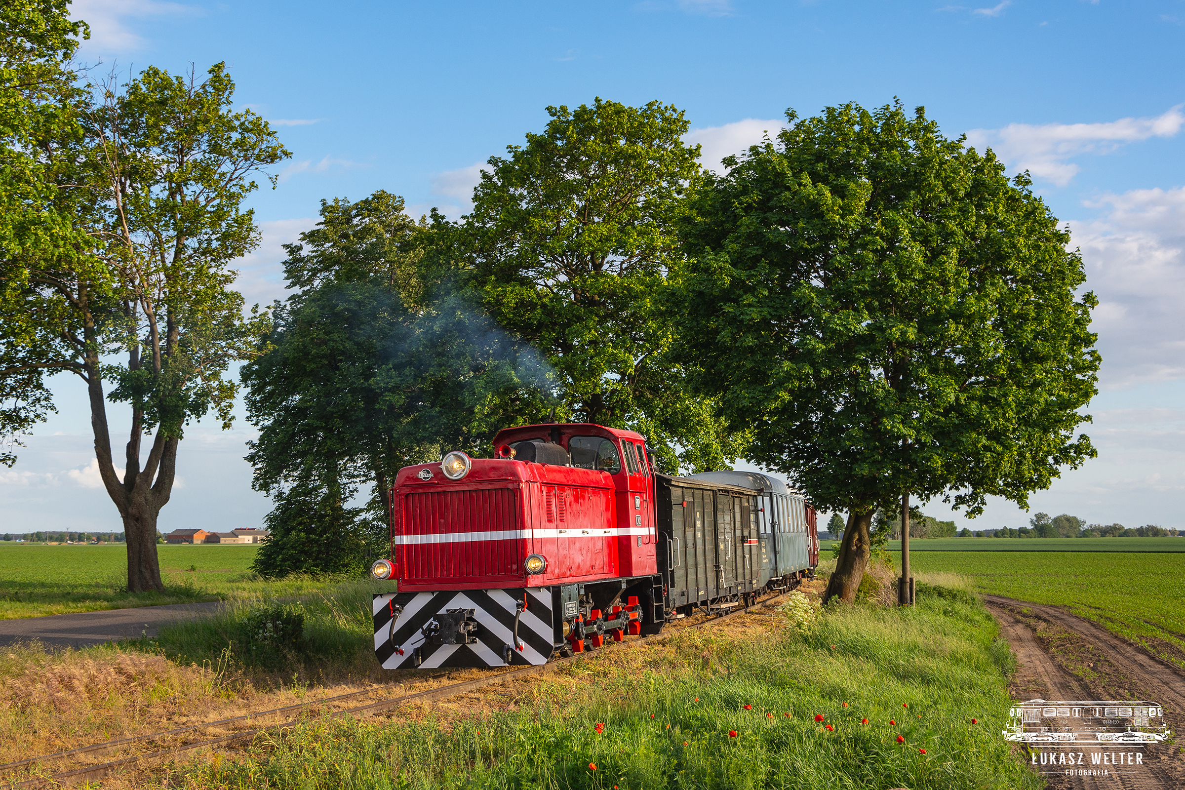 Popołudnie z Donaldem
