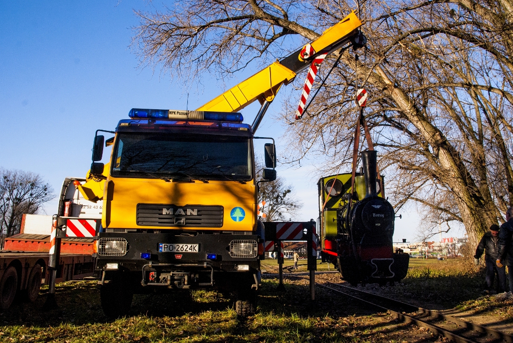 Latająca Borsuczyca