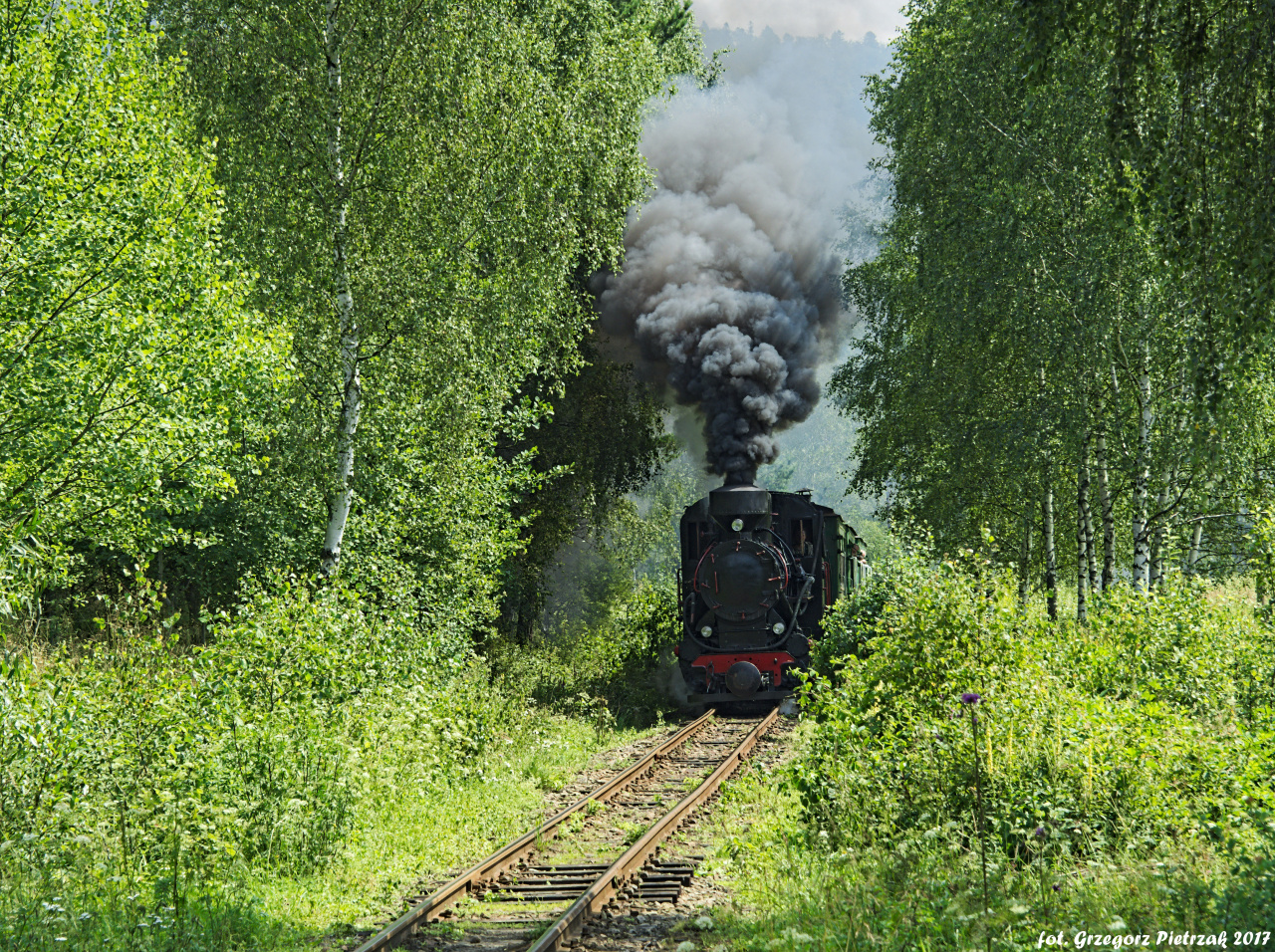 Gdzieś w Bieszczadach...