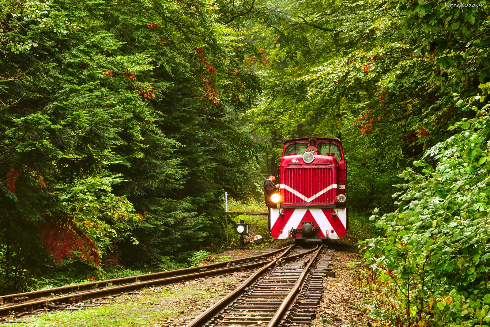 Rzucam to wszystko...