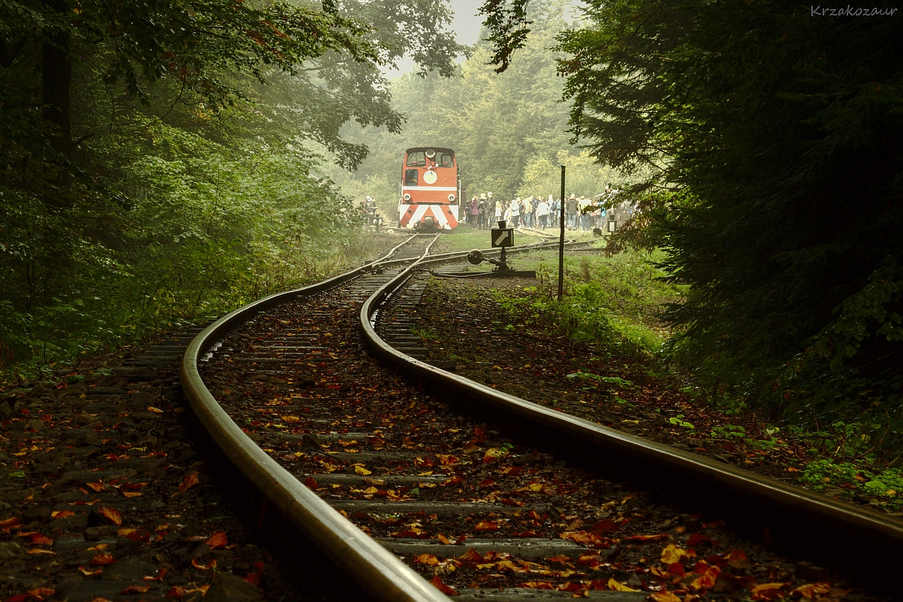 Bieszczadzkie klimaty