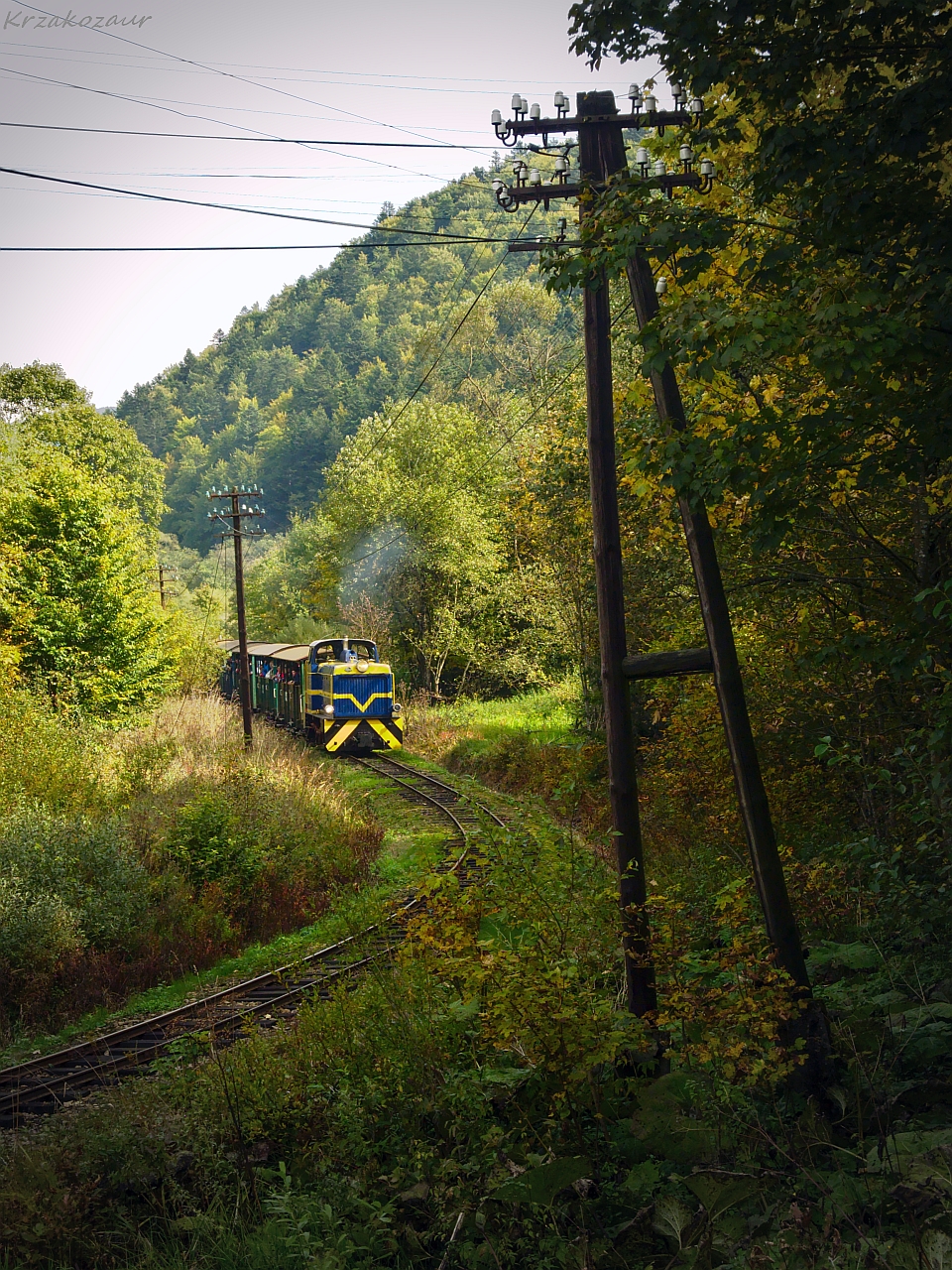 Wąsko tego dnia było
