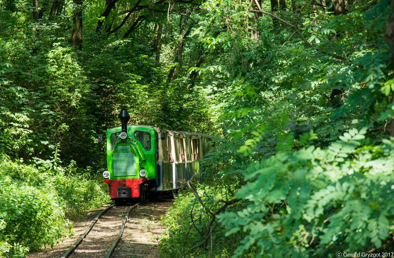 Maltanka w Parku Tysiąclecia