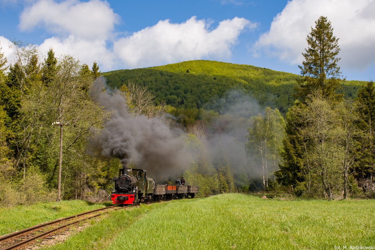 Las z Matragoną w tle