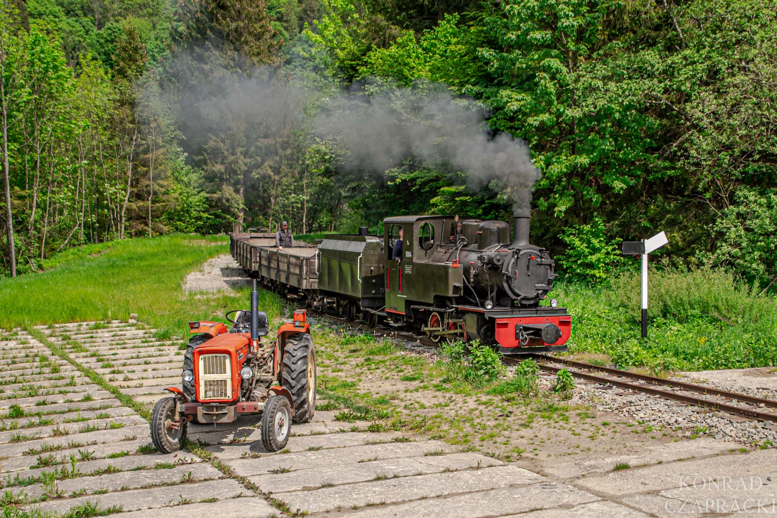 Bieszczadzkie spotkania