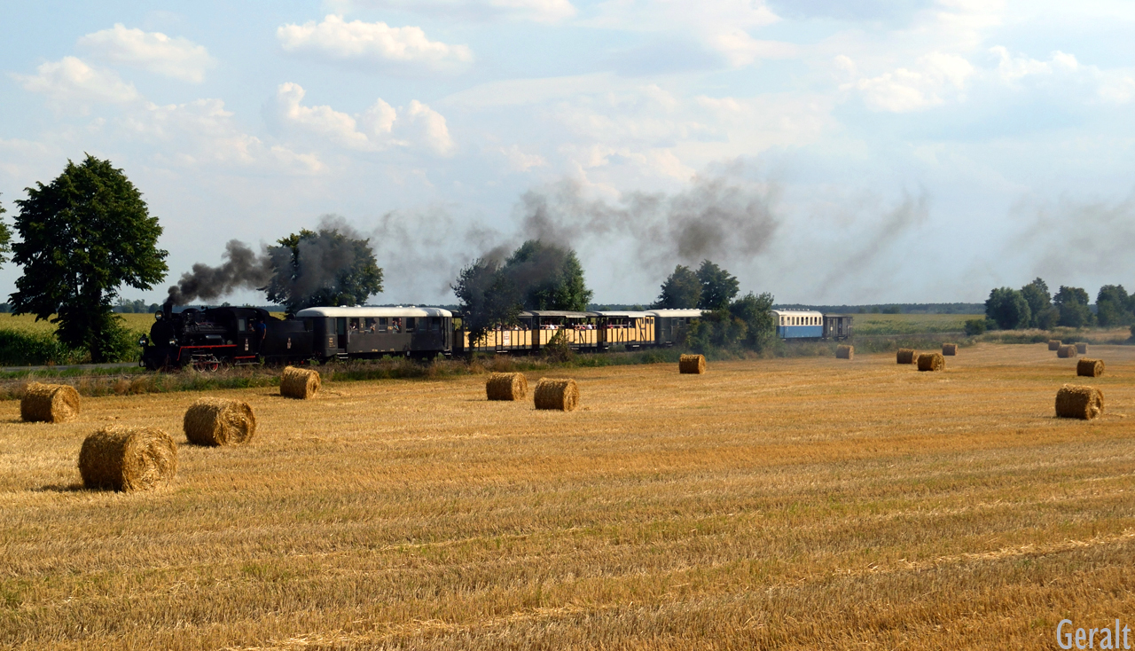 Na średzkim szlaku..