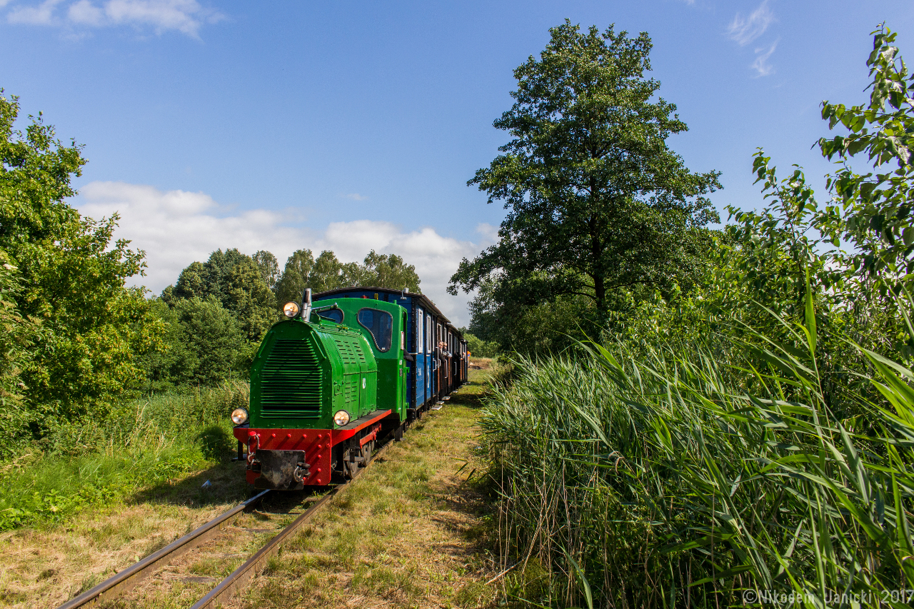Wąskotorowe święto