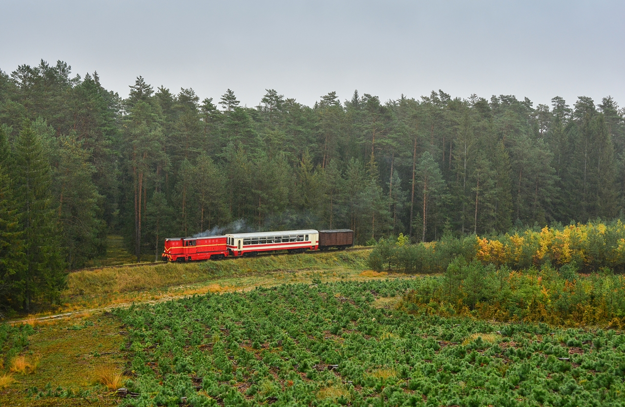 Jesienią do Rosnowa