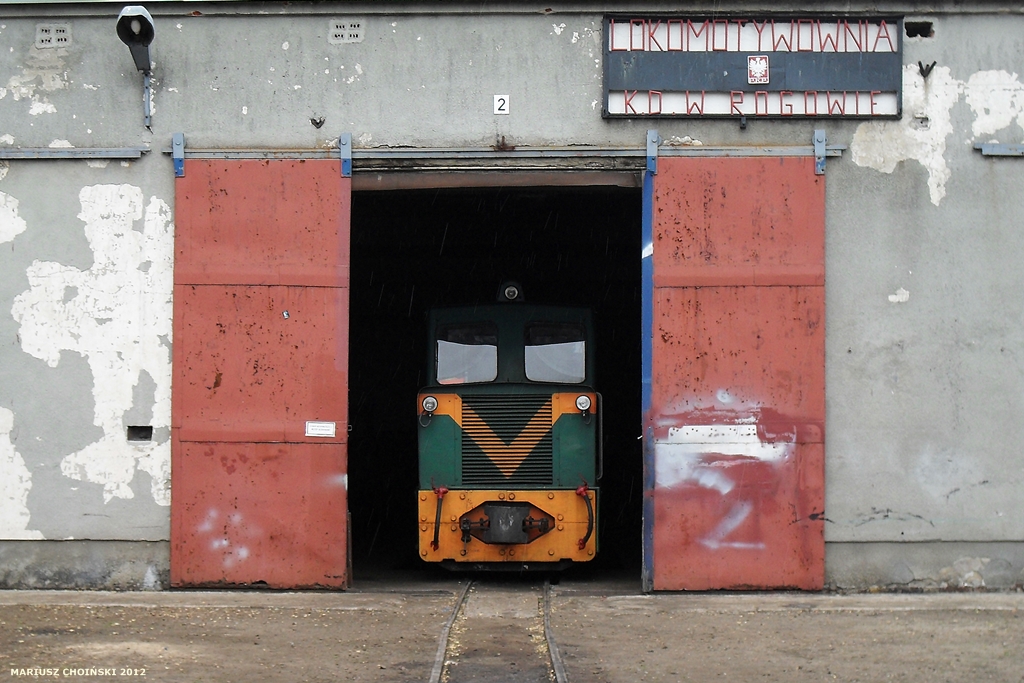 Lidka lekko wychyla nosa z szopy....