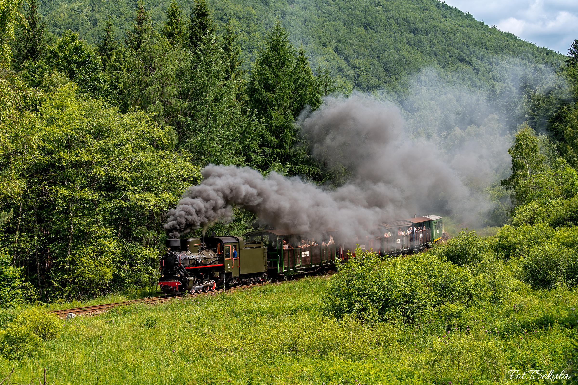 Bieszczadzki czajnik 3