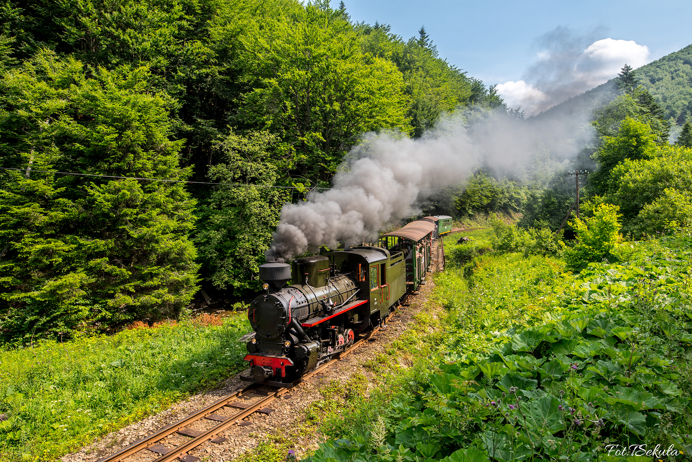Bieszczadzki czajnik 2