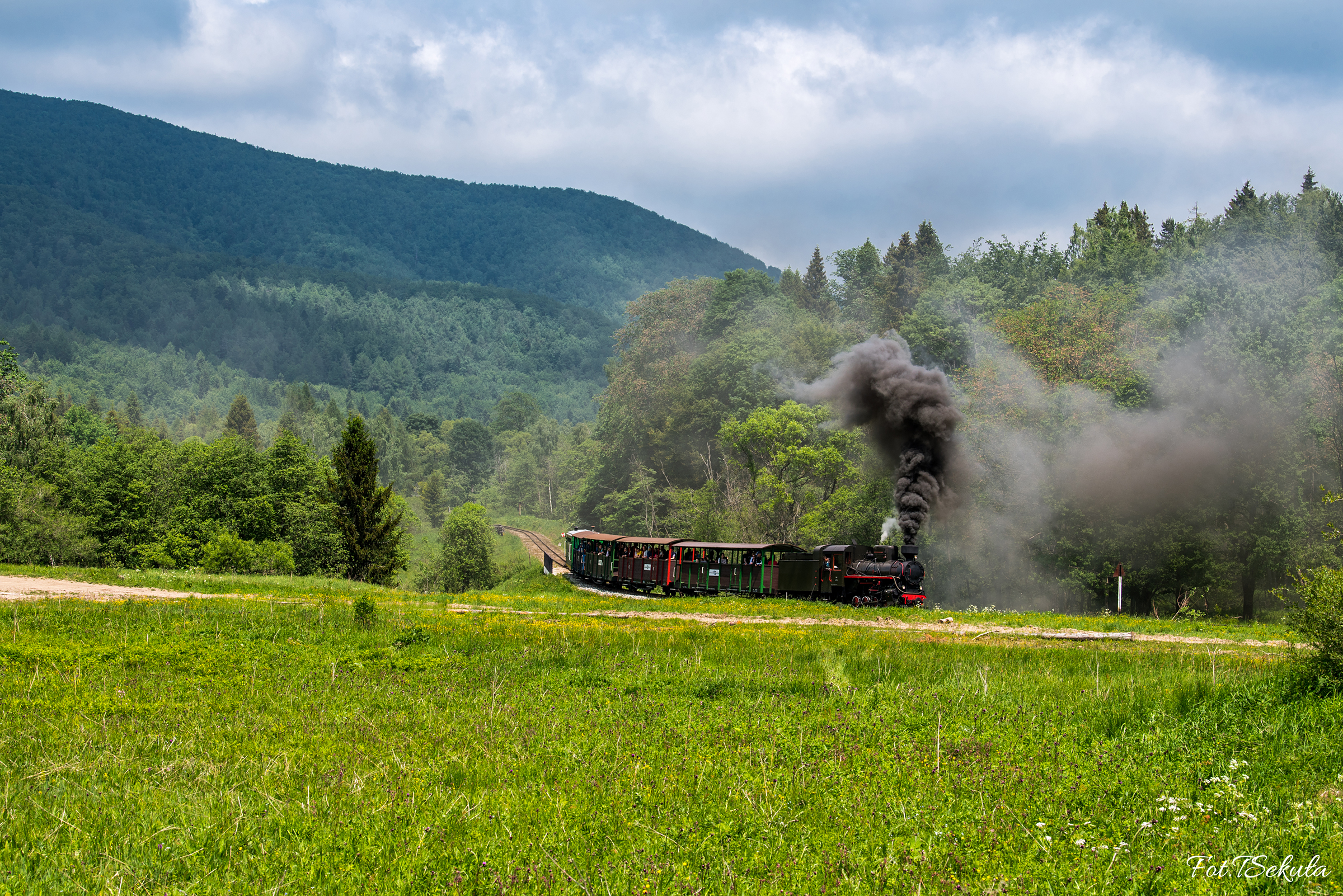 Bieszczadzki czajnik