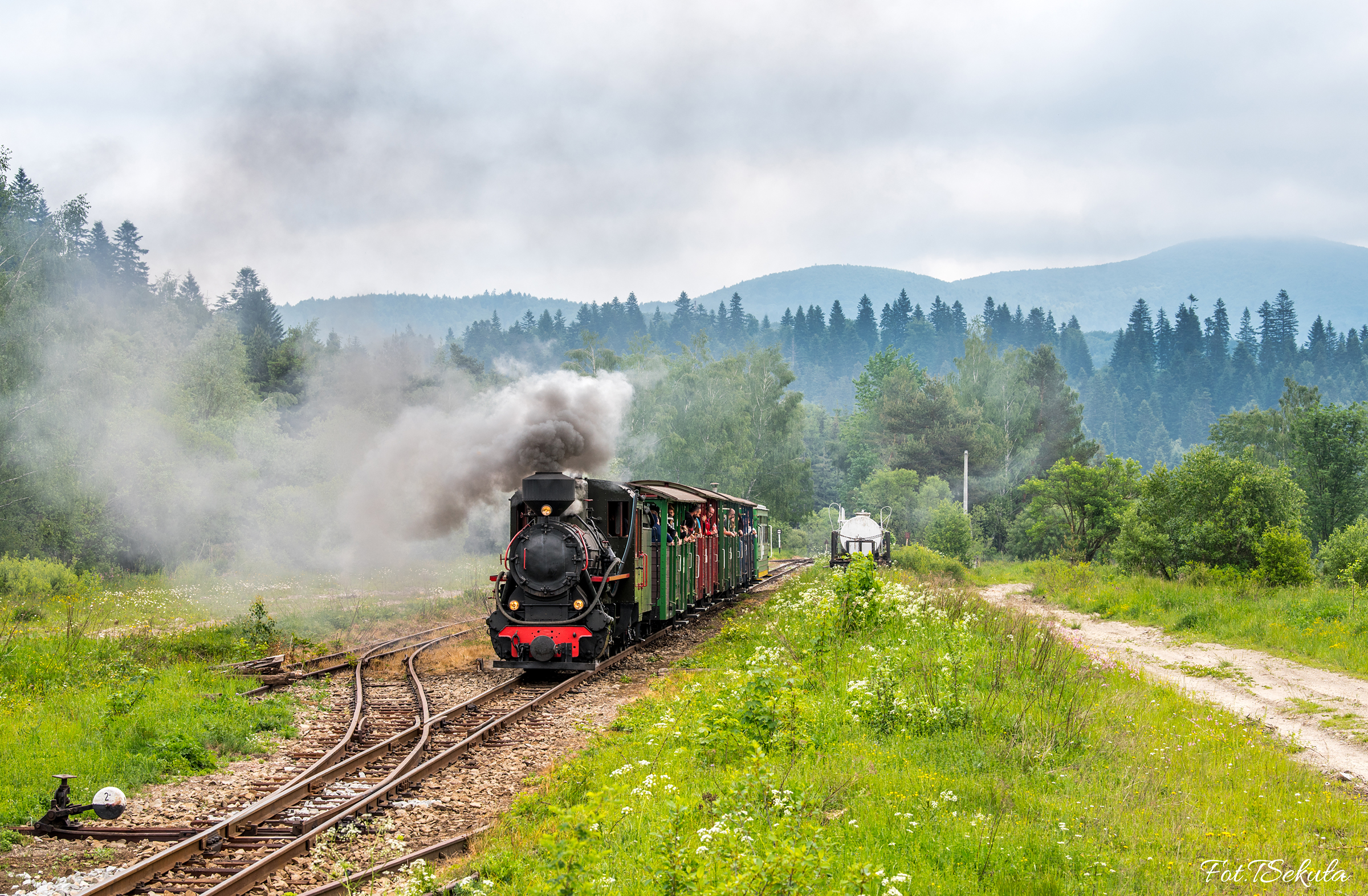 Bieszczadzki czajnik 5