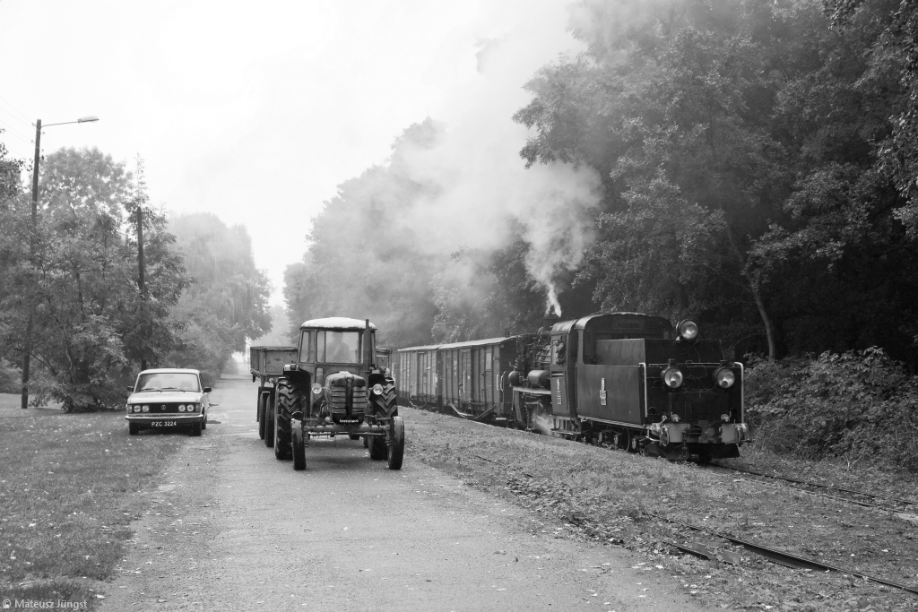 Wielkopolski rustykalizm