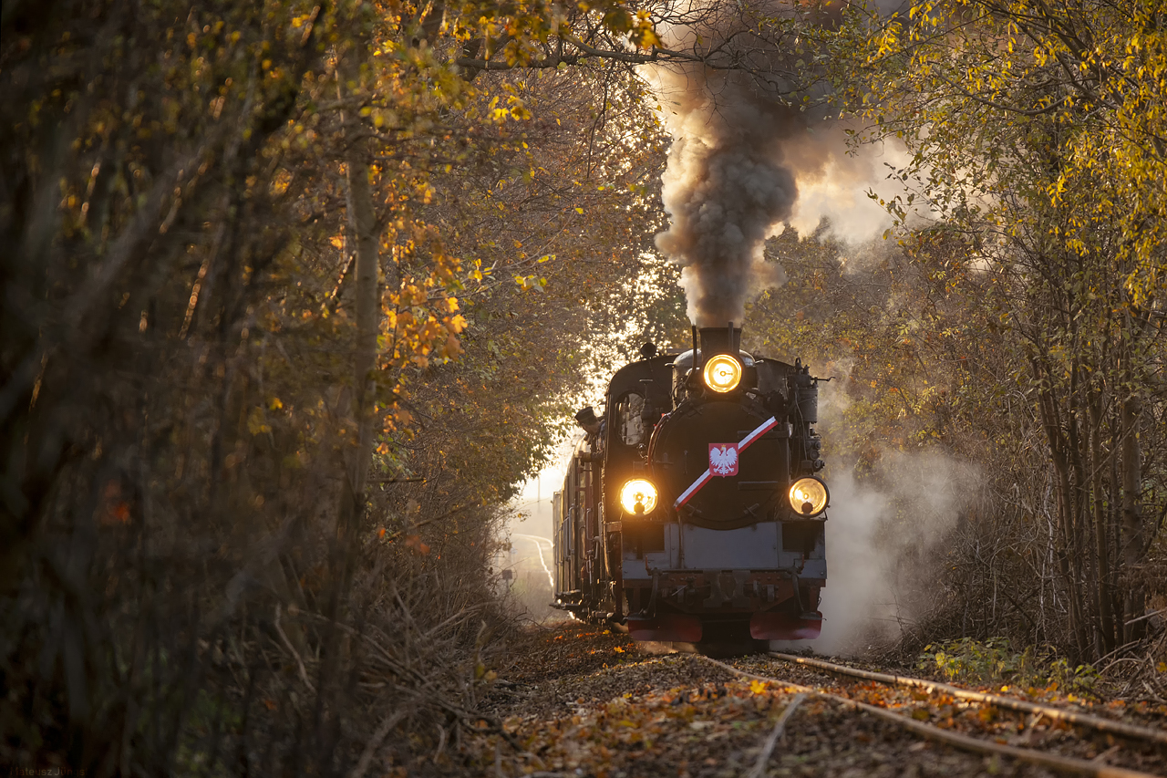 Święto Niepodległości na ŚKP