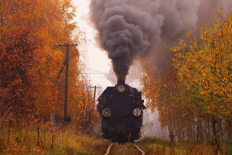 Jesienne wspomnienie