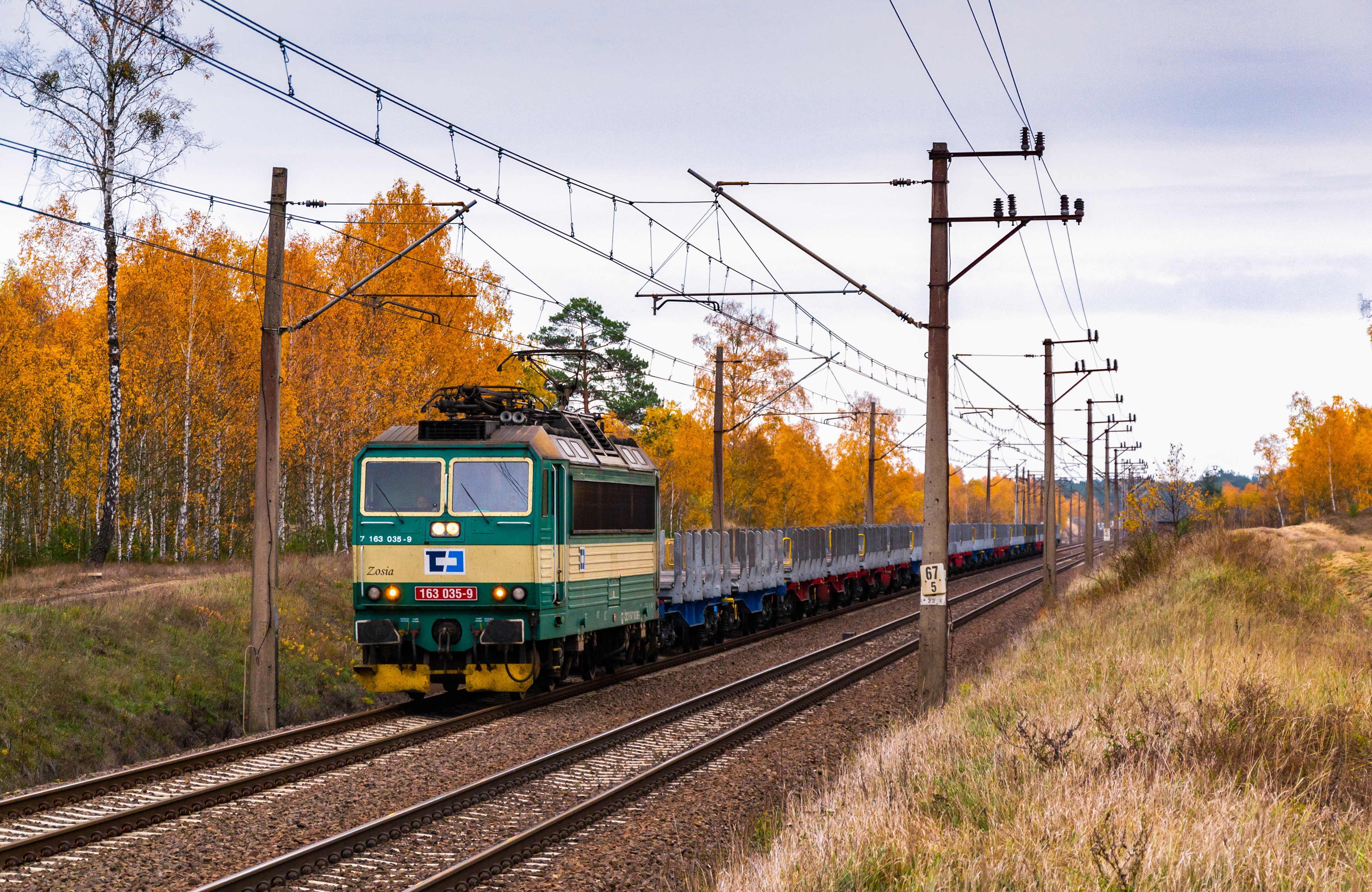 "Zosia" w złotej krainie