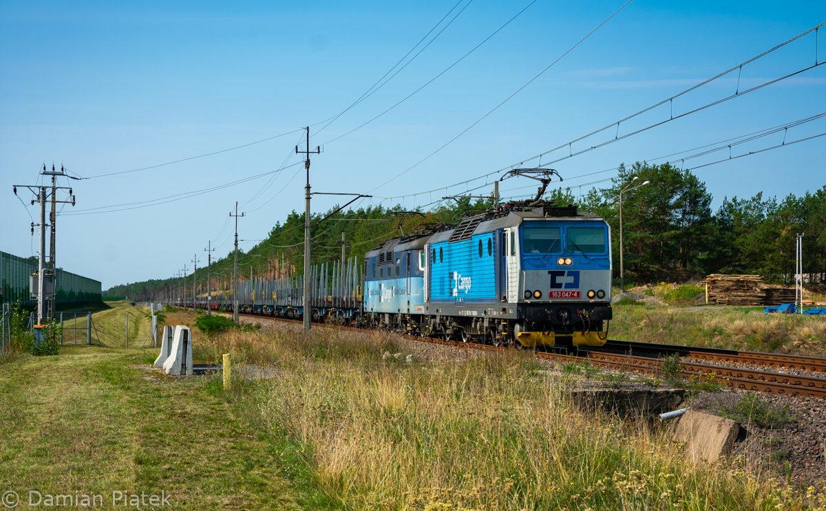 Niebieski czeski tandem