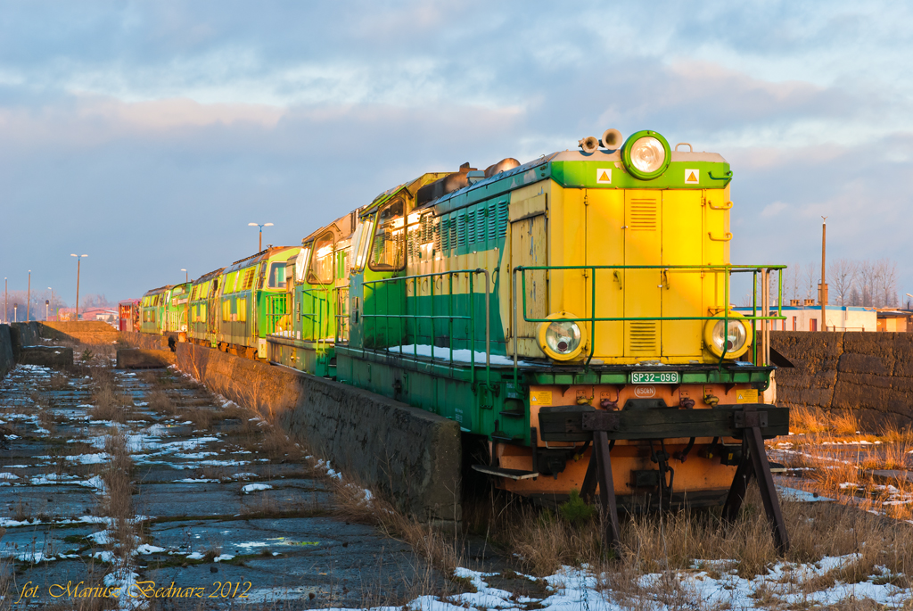 Skazane na ścięcie