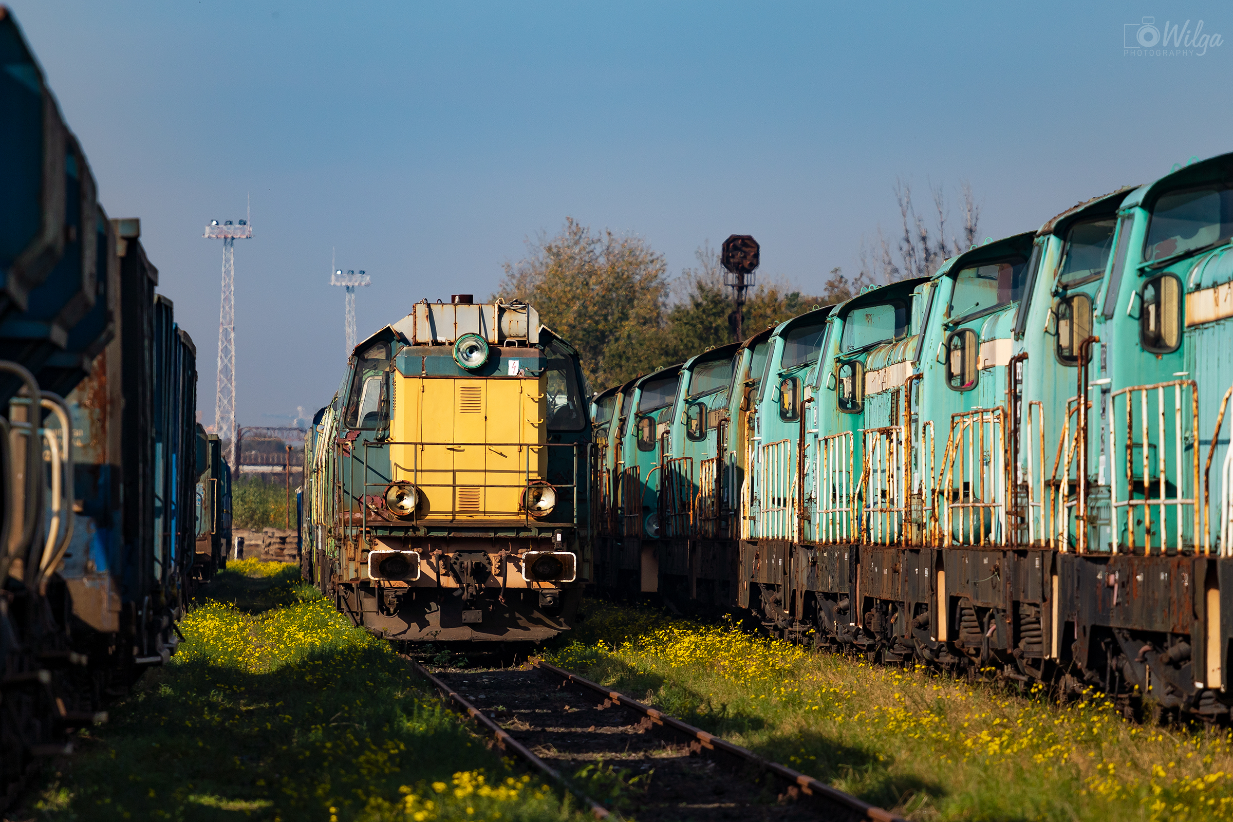 Ocalona od zapomnienia