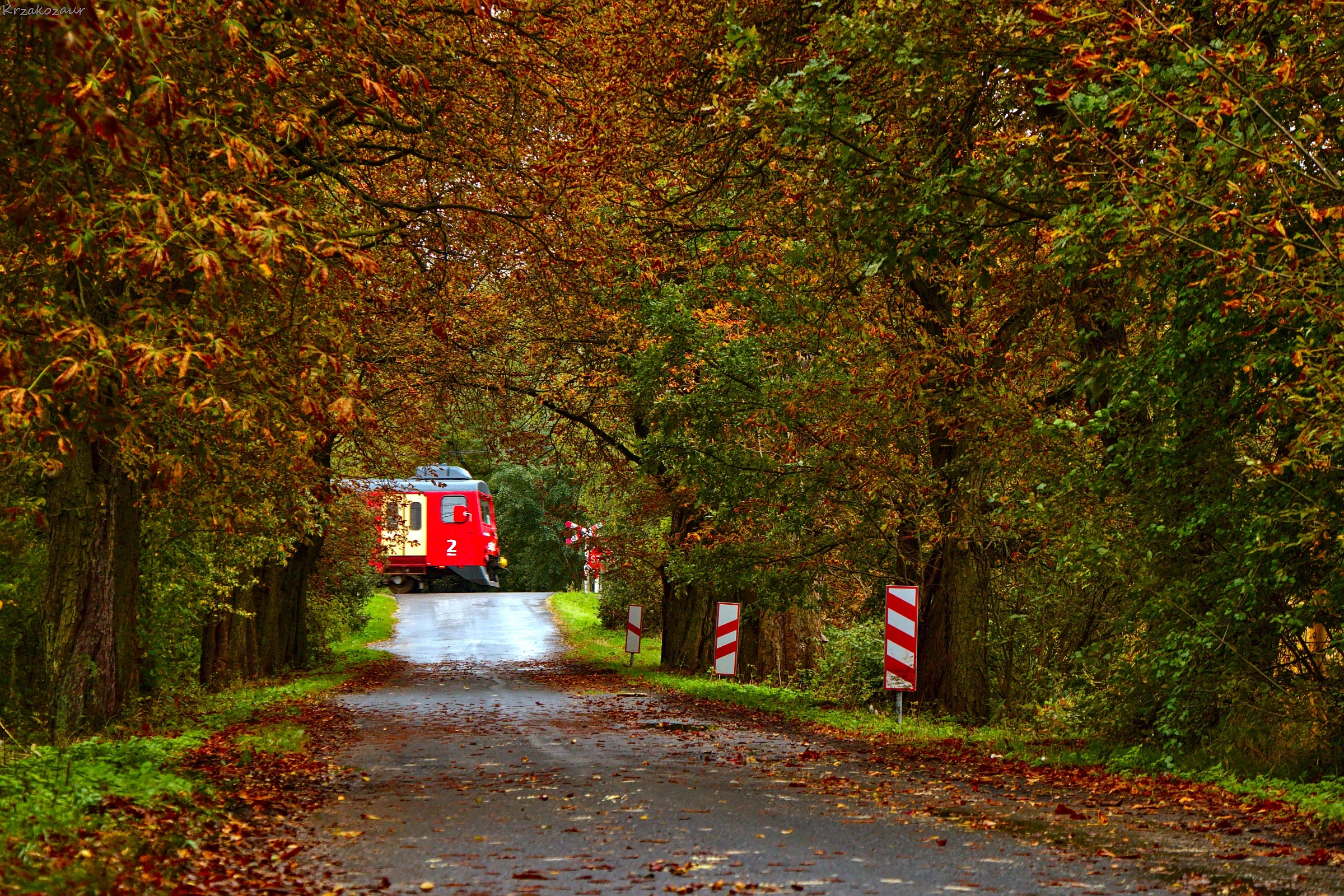 Pierwsze oznaki jesieni...