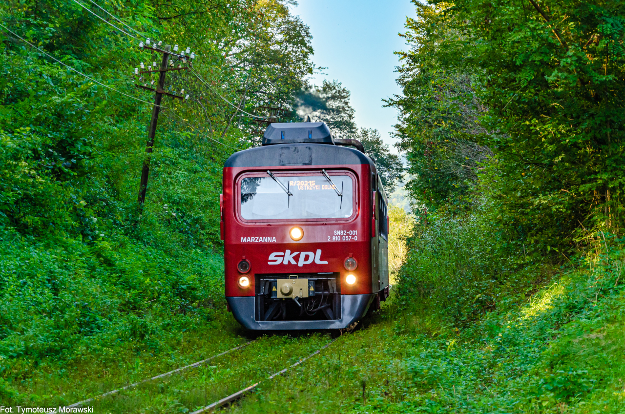 Marzanna wśród drzew