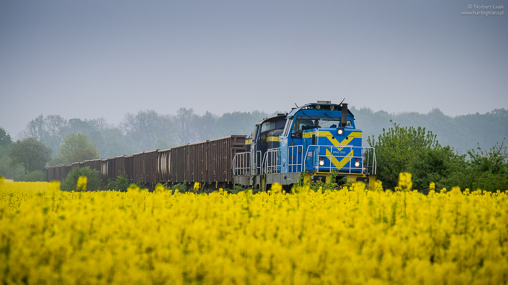 Blues na żółtej równinie