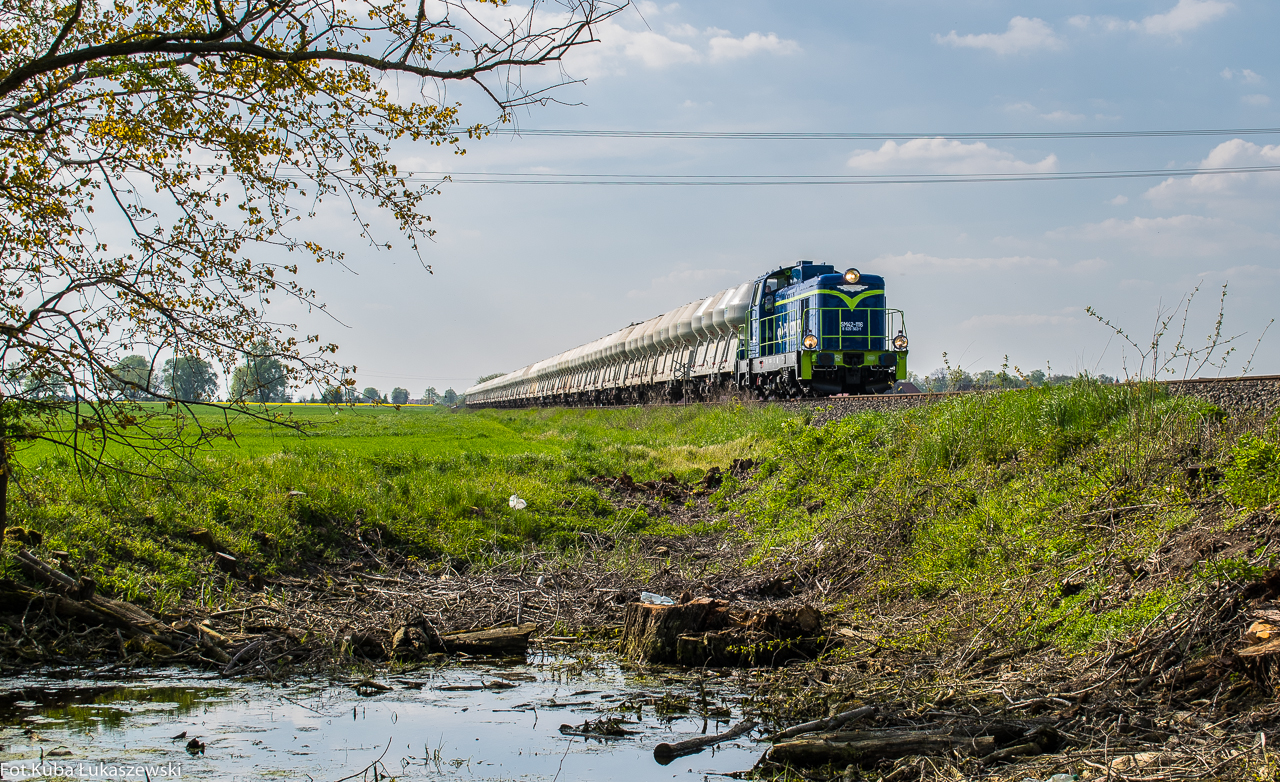Łaciata z gruszkami