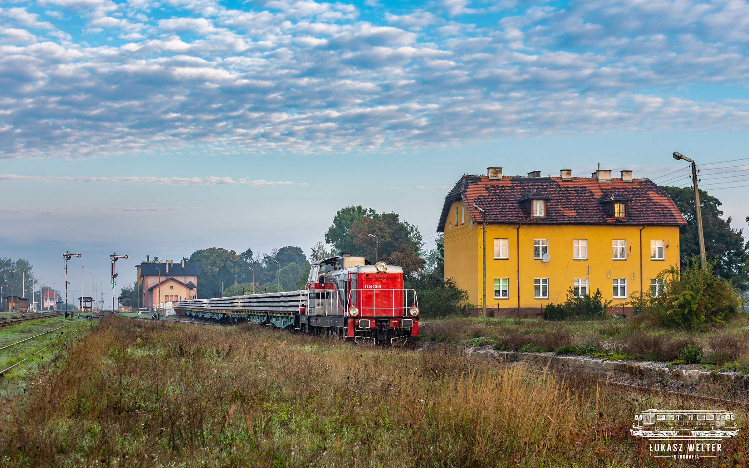 W drodze na grzybobranie