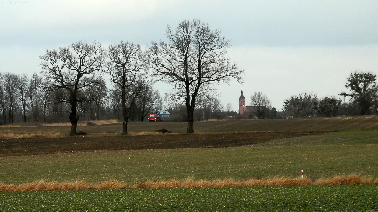 Wilu, jesteś Wielki