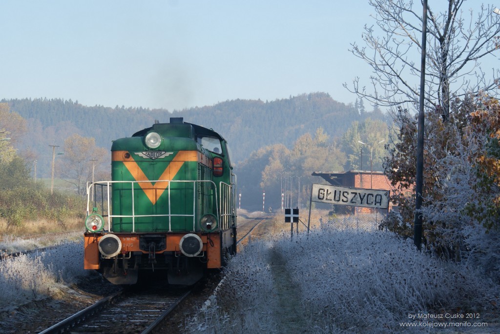 Poranny luzak w Głuszycy