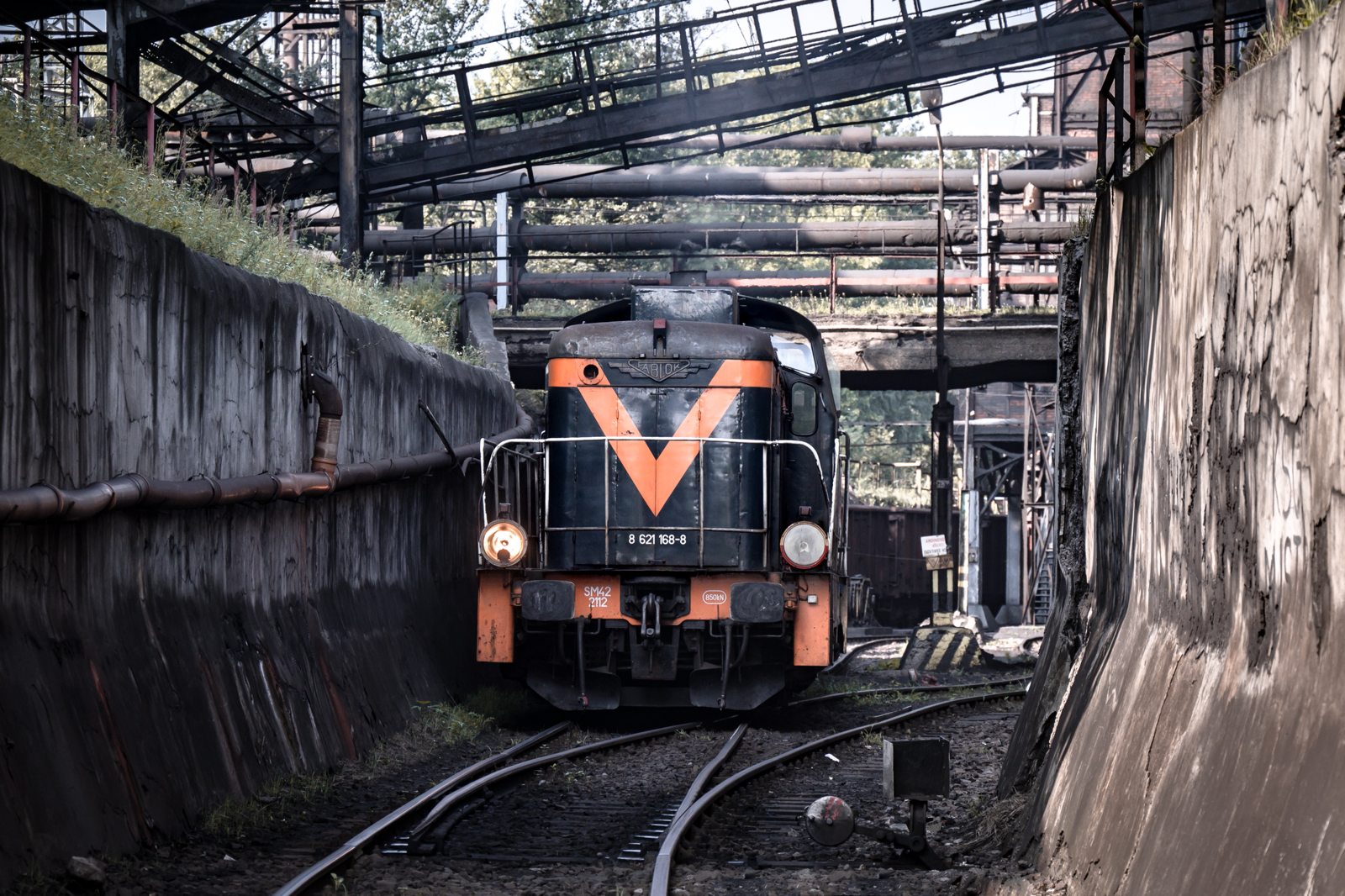 Poranek na „Jadzi”